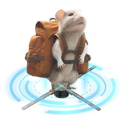 Hologramm-Lüfter 3D-Hologramm-Display 180cm Digitale Beschilderung mit 2D-3D-Animation und LED