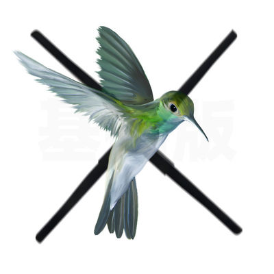 65cm Hightech Holographische Ventilatoren OEM 3D Holographische Anzeige LED Hologrammprojektor