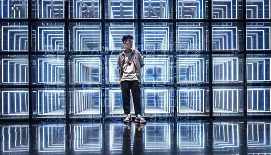 Gebäude Anwendung Hologramm 3D-Ventilator Werbe-Lichtboxen mit Nano-Licht Quelle